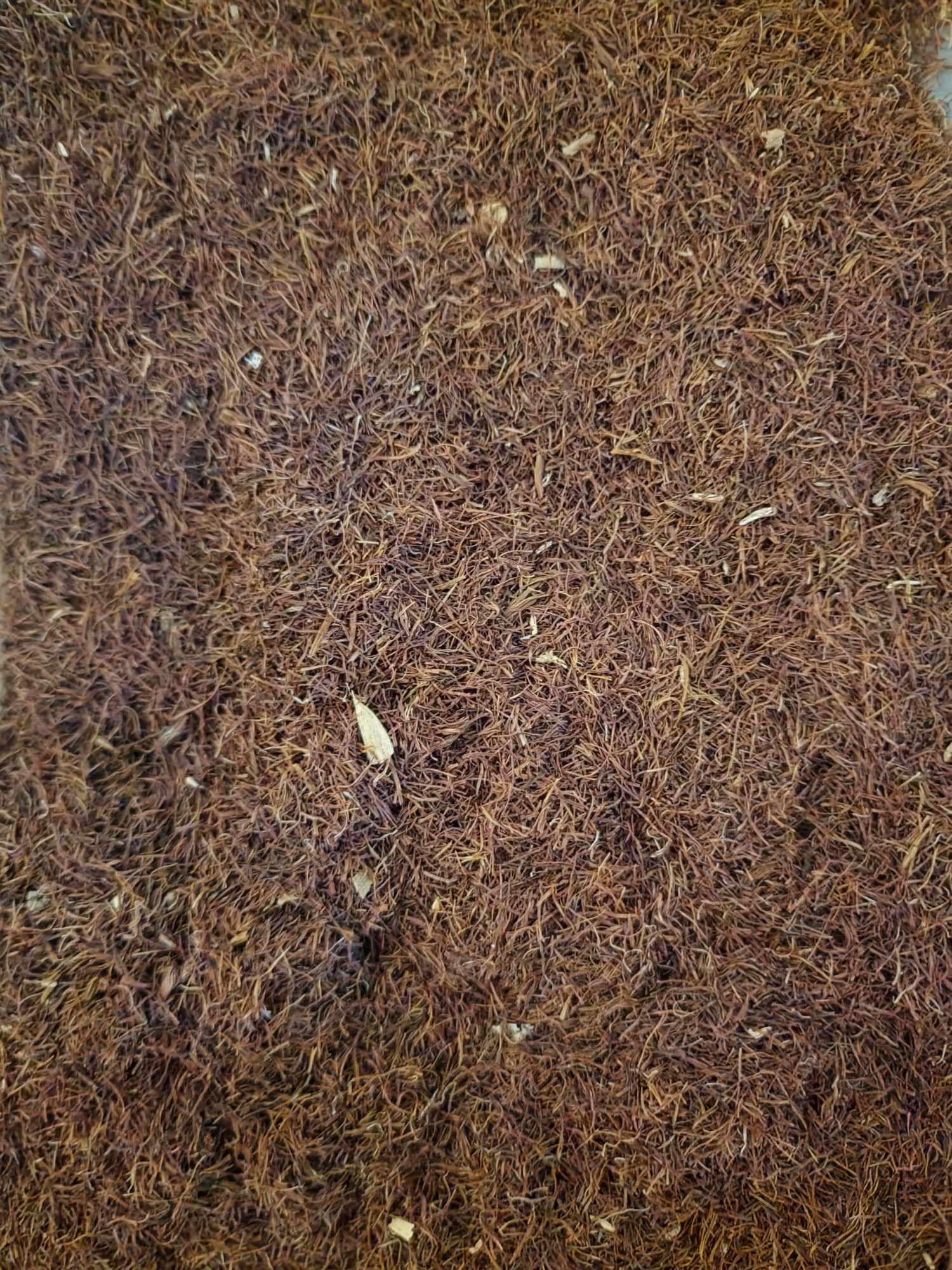 Cornsilk stamens cut from Botanical Remedies