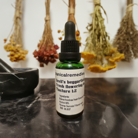 A bottle of Devil's Beggar's herb tincture with a dropper, placed on a tabletop next to a bowl of dried herbs.