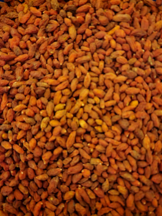 Dried, loose Goji berries, superfood and herbal remedy