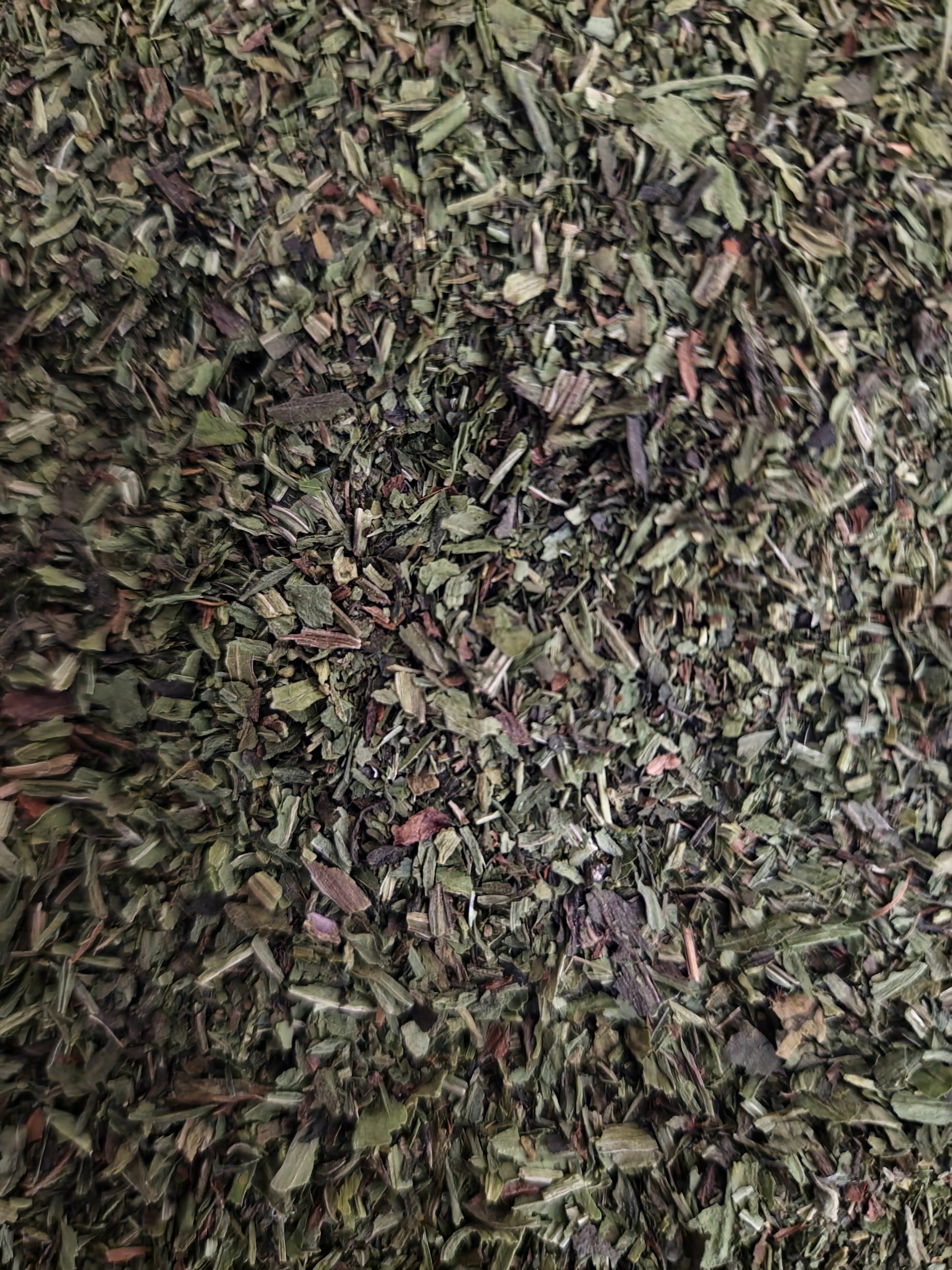 close up of English plantain leaf, an herbal remedy from Botanical remedies herbal dispensary, loose herbal tea