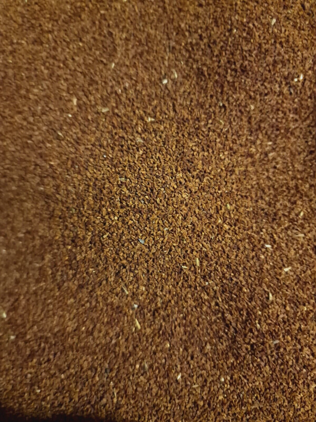 close up of evening primrose seeds, an herbal remedy from Botanical Remedies herbal dispensary