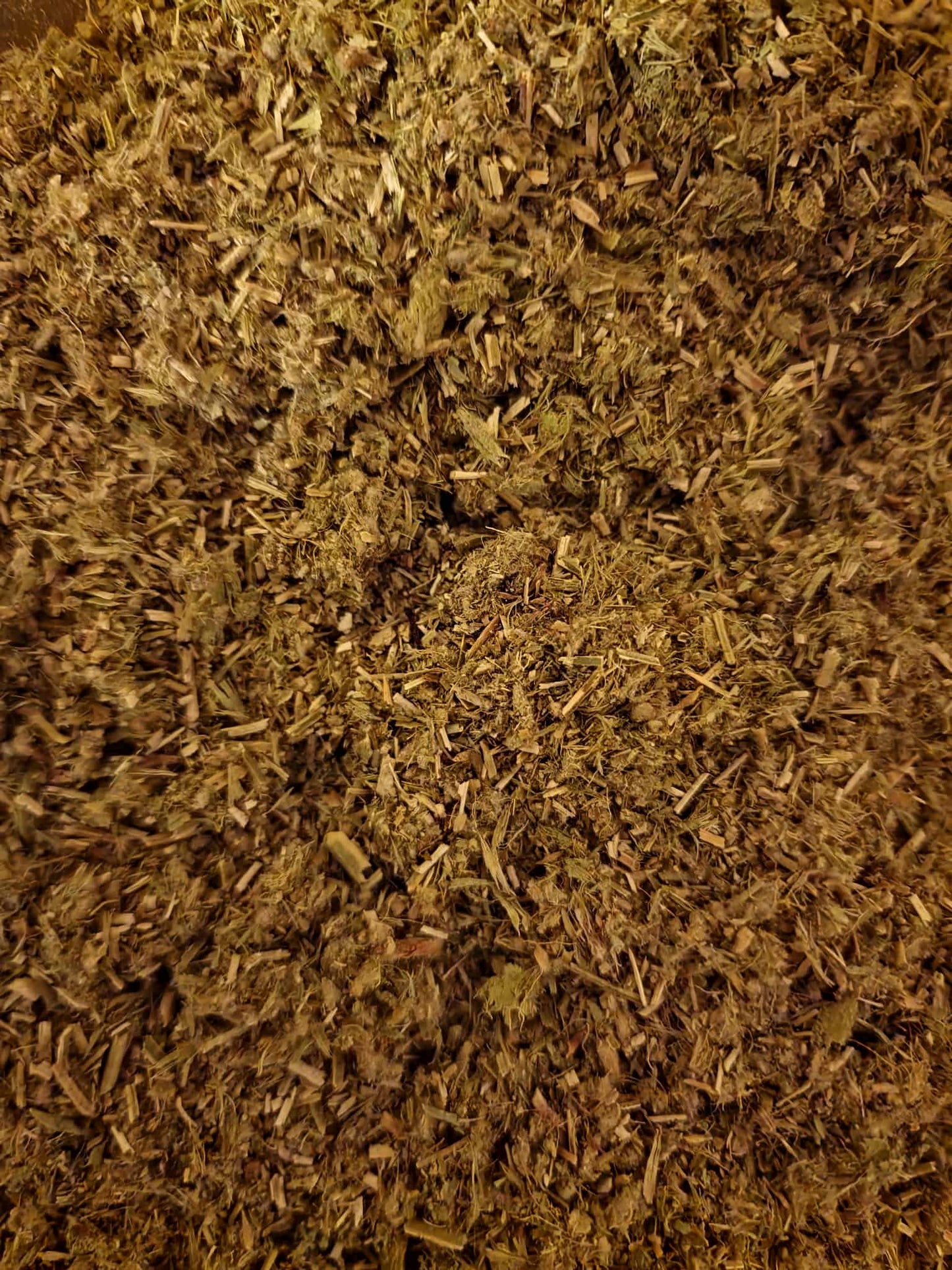 Close up of dried and cut Greek Mountain tea herb