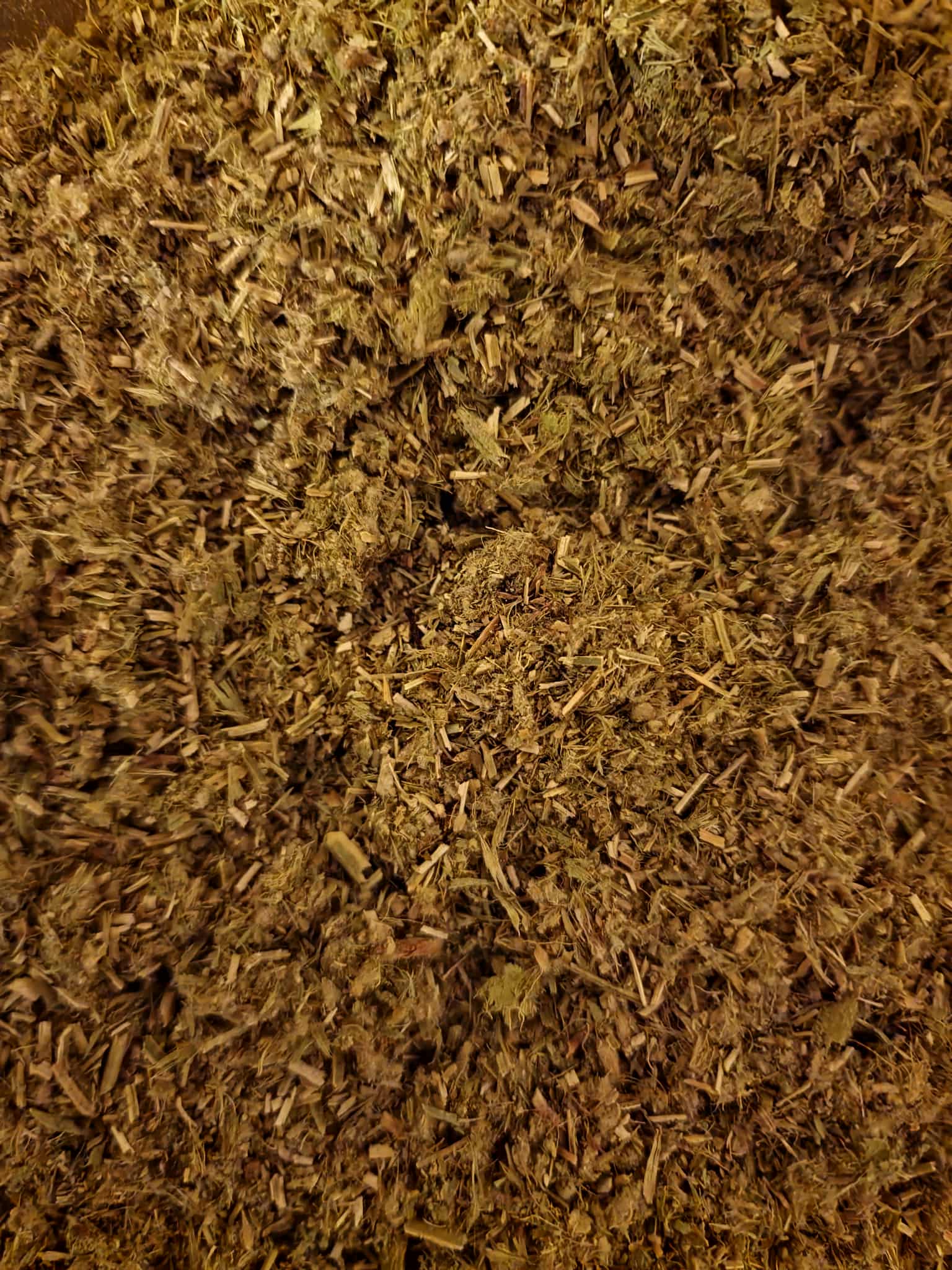 Close up of dried and cut Greek Mountain tea herb