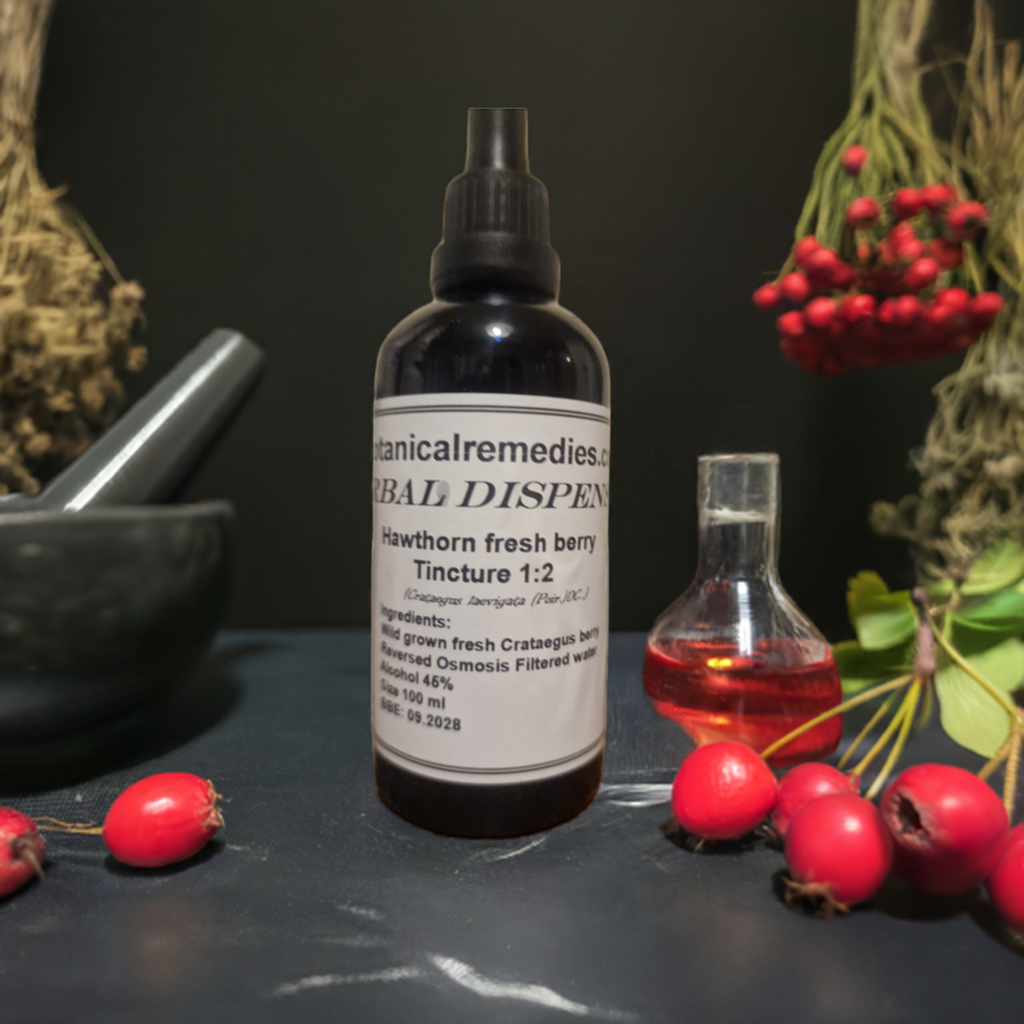 A bottle of Hawthorn fresh berry Tincture with a dropper, alongside ingredients used in its creation, such as fresh berries and a mortar with pestle. Hawthorn berry tincture from Botanical Remedies herbal dispensary is traditional heart and circulatory tonic