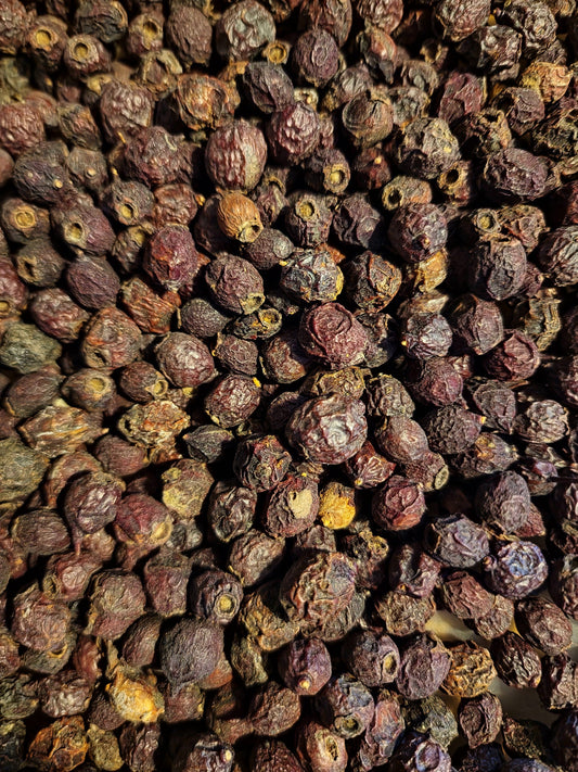 close up of dried Hawthorn berries, an herbal remedy from Botanical remedies herbal dispensary, loose herbal tea