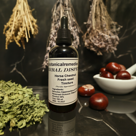 dropper bottle with horse chestnut seeds tincture, an herbal remedy from Botanical Remedies herbal dispensary