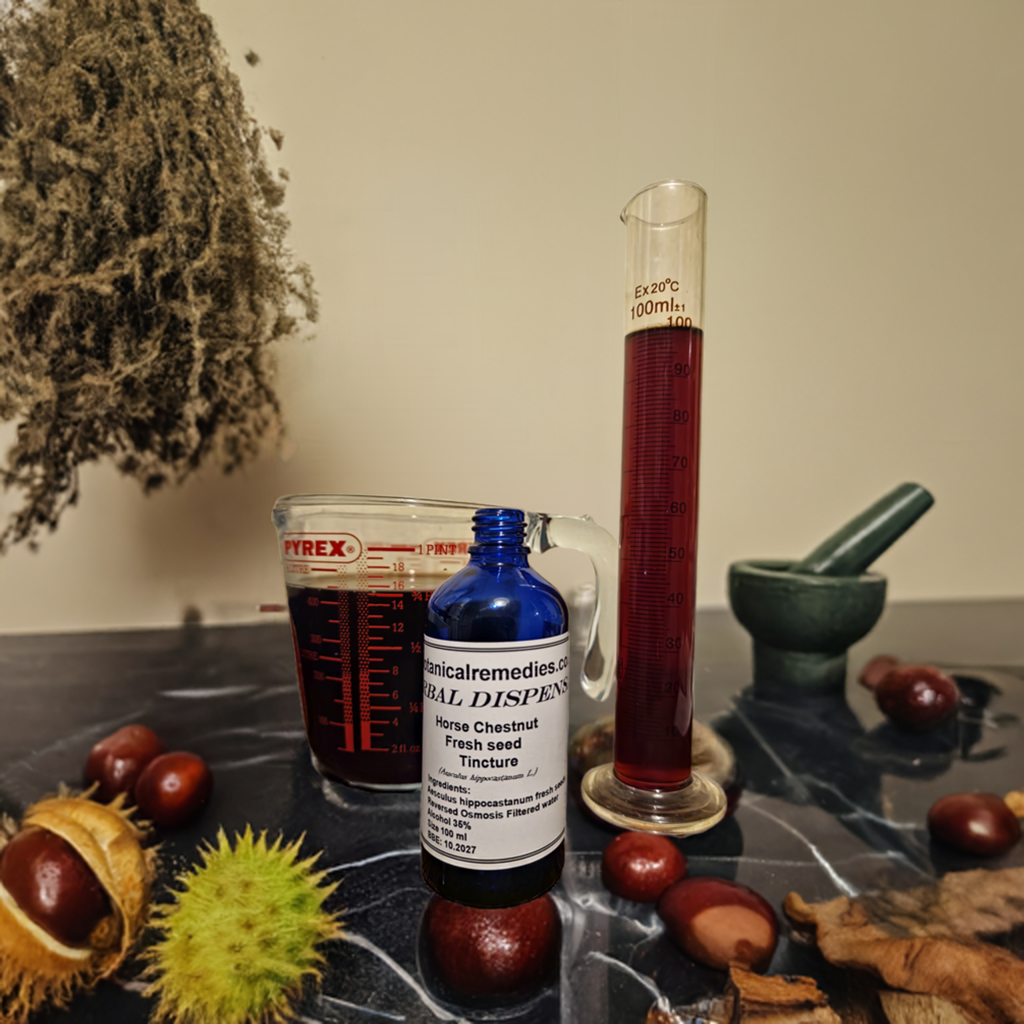 Horse Chestnut fresh seeds Tincture (Aesculus hippocastanum L.)