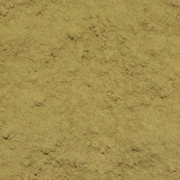 Horsetail herb dried and powdered, an herbal remedy