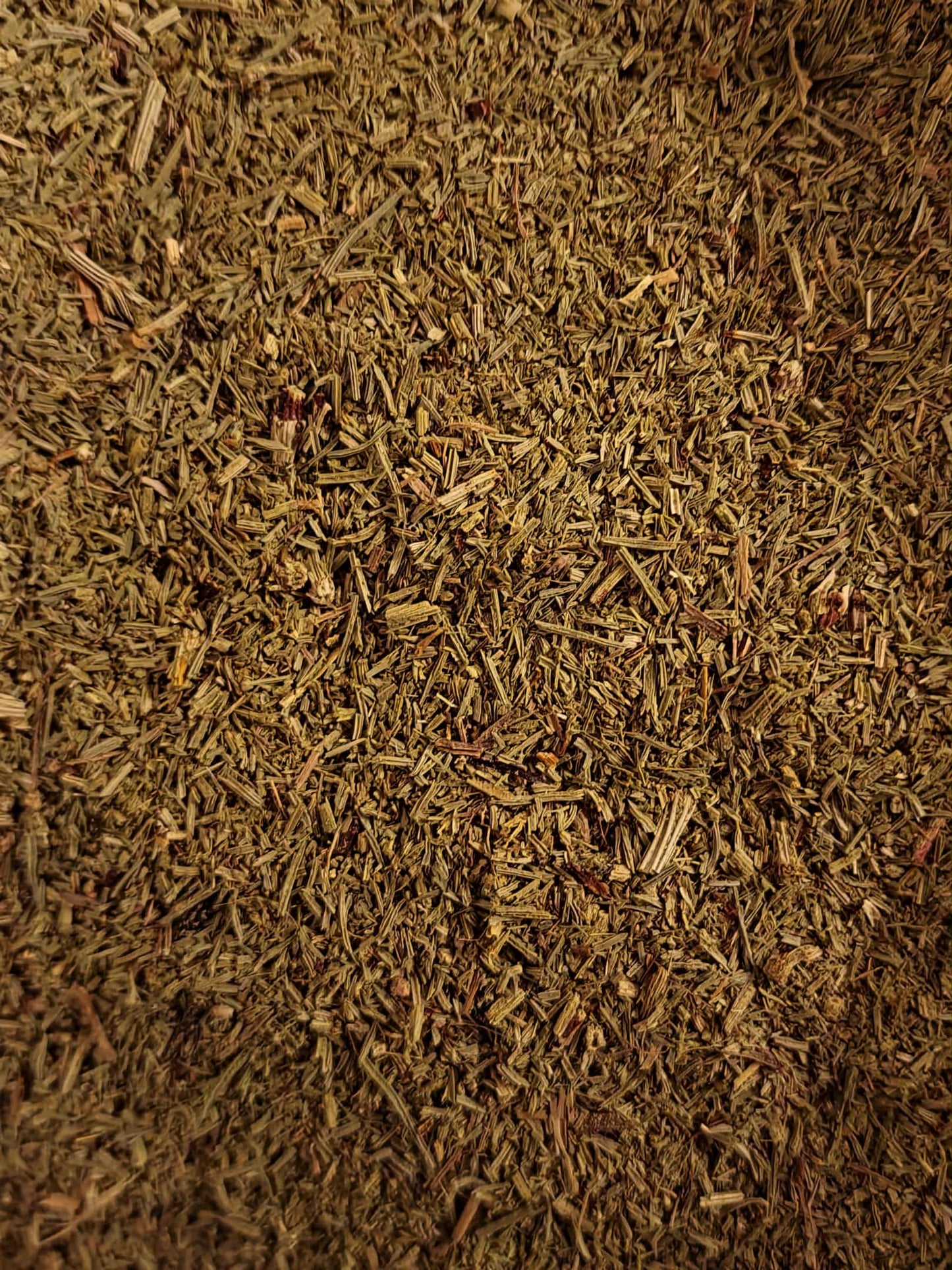 Close-up of dried Horsetail herb, an herbal remedy from Botanical Remedies herbal dispensary, loose herbal tea