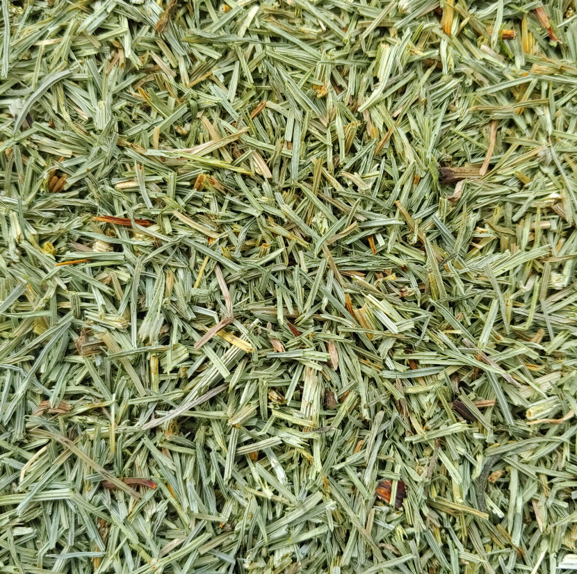 Horsetail herb dried and cut