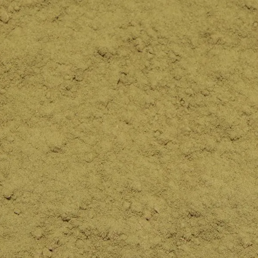 Horsetail herb dried and powdered, an herbal remedy from Botanical Remedies herbal dispensary, loose herbal tea