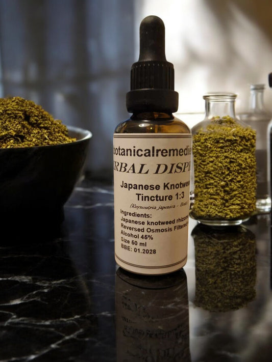 A dropper bottle containing Japanese knotweed tincture, an herbal remedy from Botanical remedies herbal dispensary