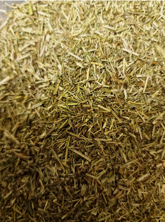 close up of Lady`s bedstraw herb, dried and cut, an herbal remedy, loose herbal tea