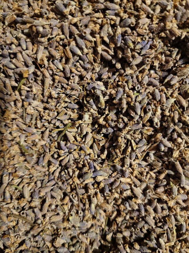 close up of lavender flower, an herbal remedy, loose herbal tea