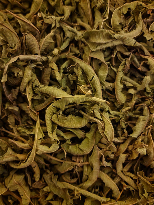 close up of dried Lemon Verbena whole leaves, an loose tea from Botanical remedies herbal dispensary