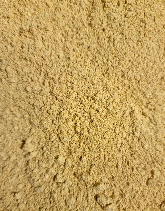 Close up of Lions mane mushroom powder, brain and memory tonic, an micronutrition and herbal remedy from Botanical Remedies herbal dispensary