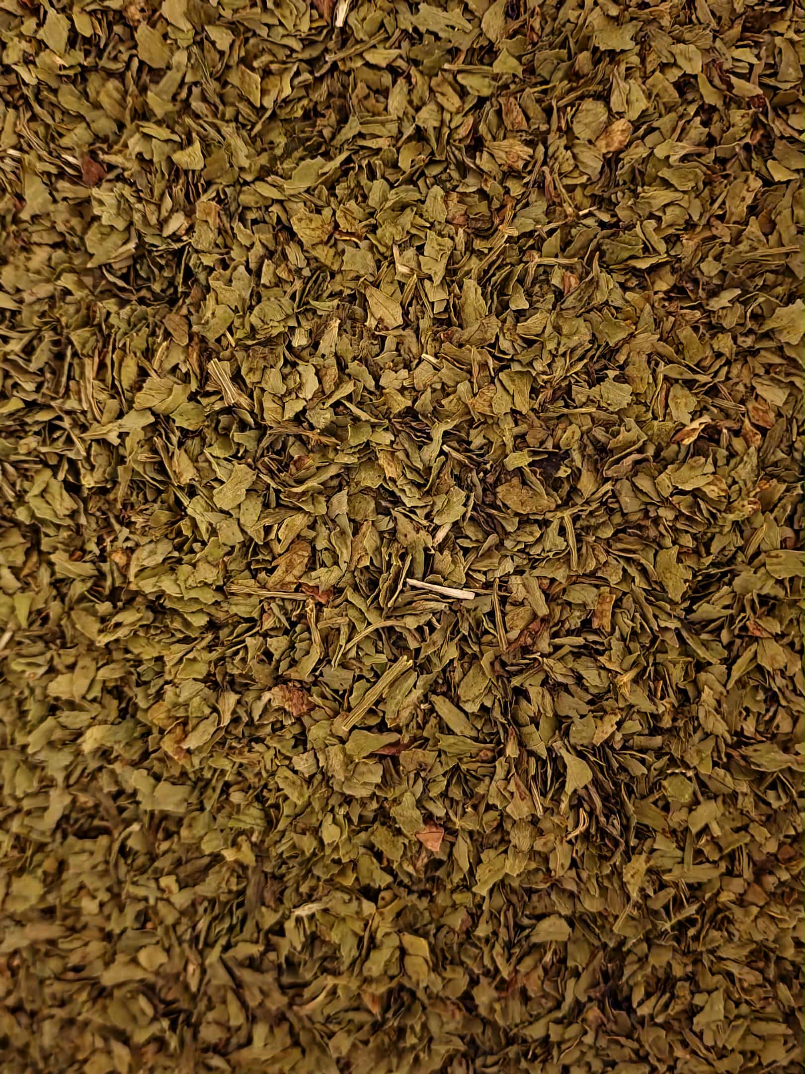 Close up of dried and cut Lovage leaves, an loose herbal tea from Botanical Remedies herbal dispensary