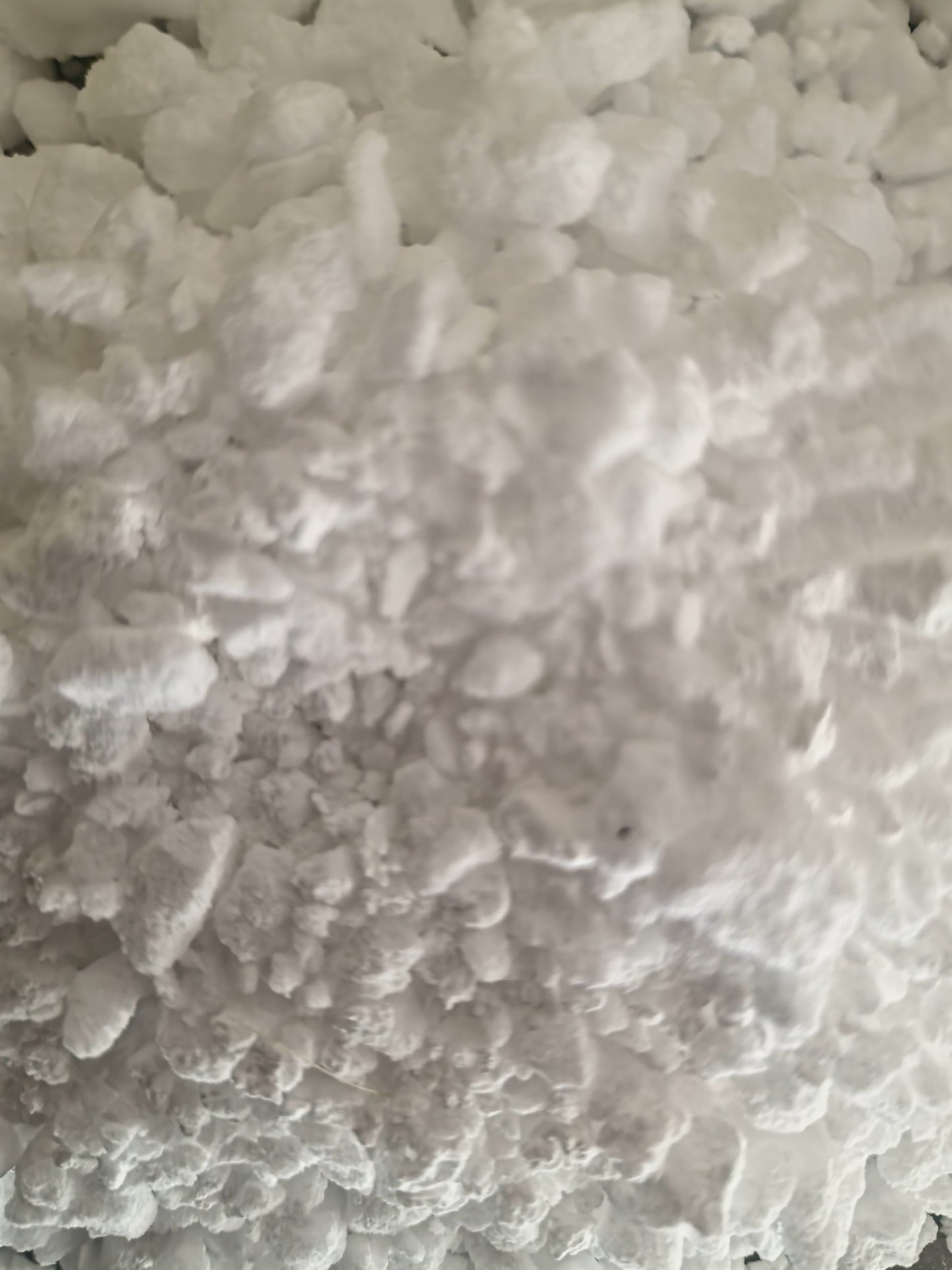 close up of dried and powdered Manna Cannelata resin juice