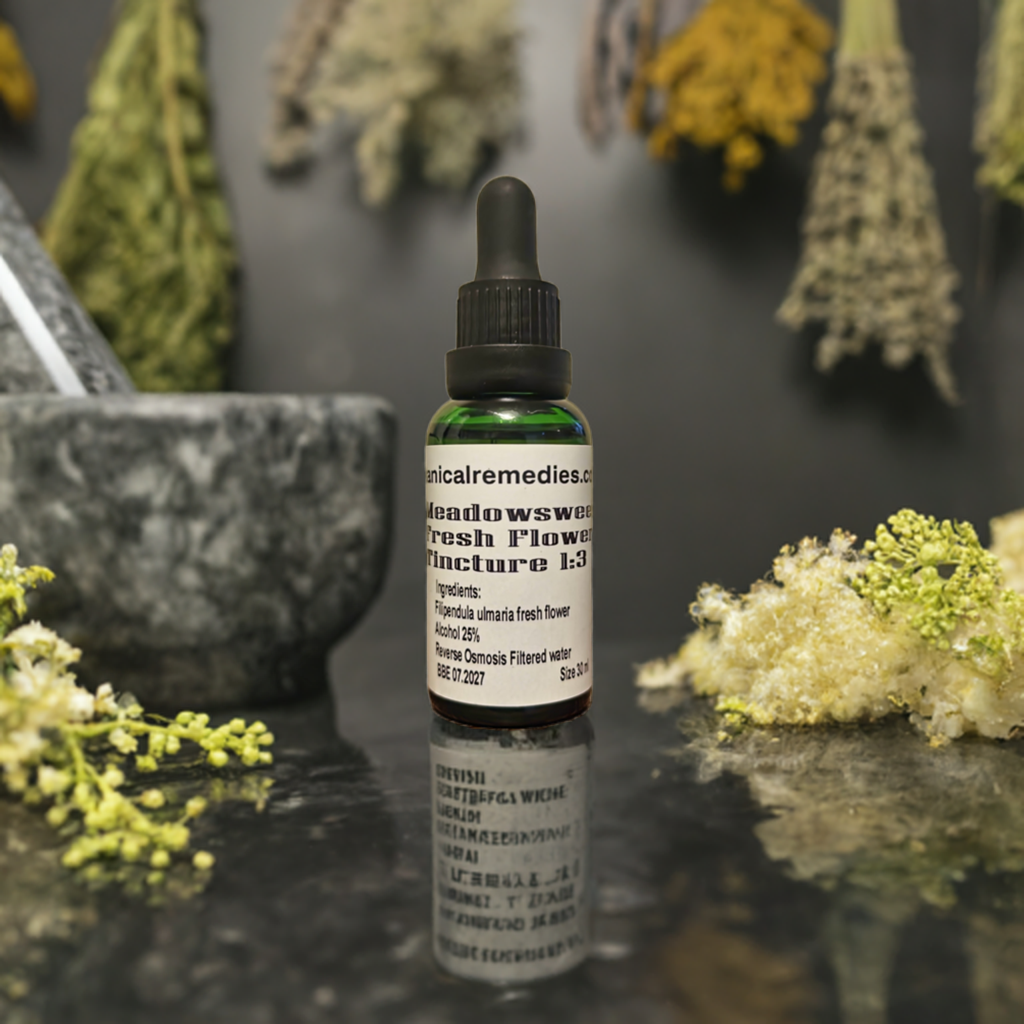 Meadowsweet fresh flower Tincture (Filipendula ulmaria L.Maxim)