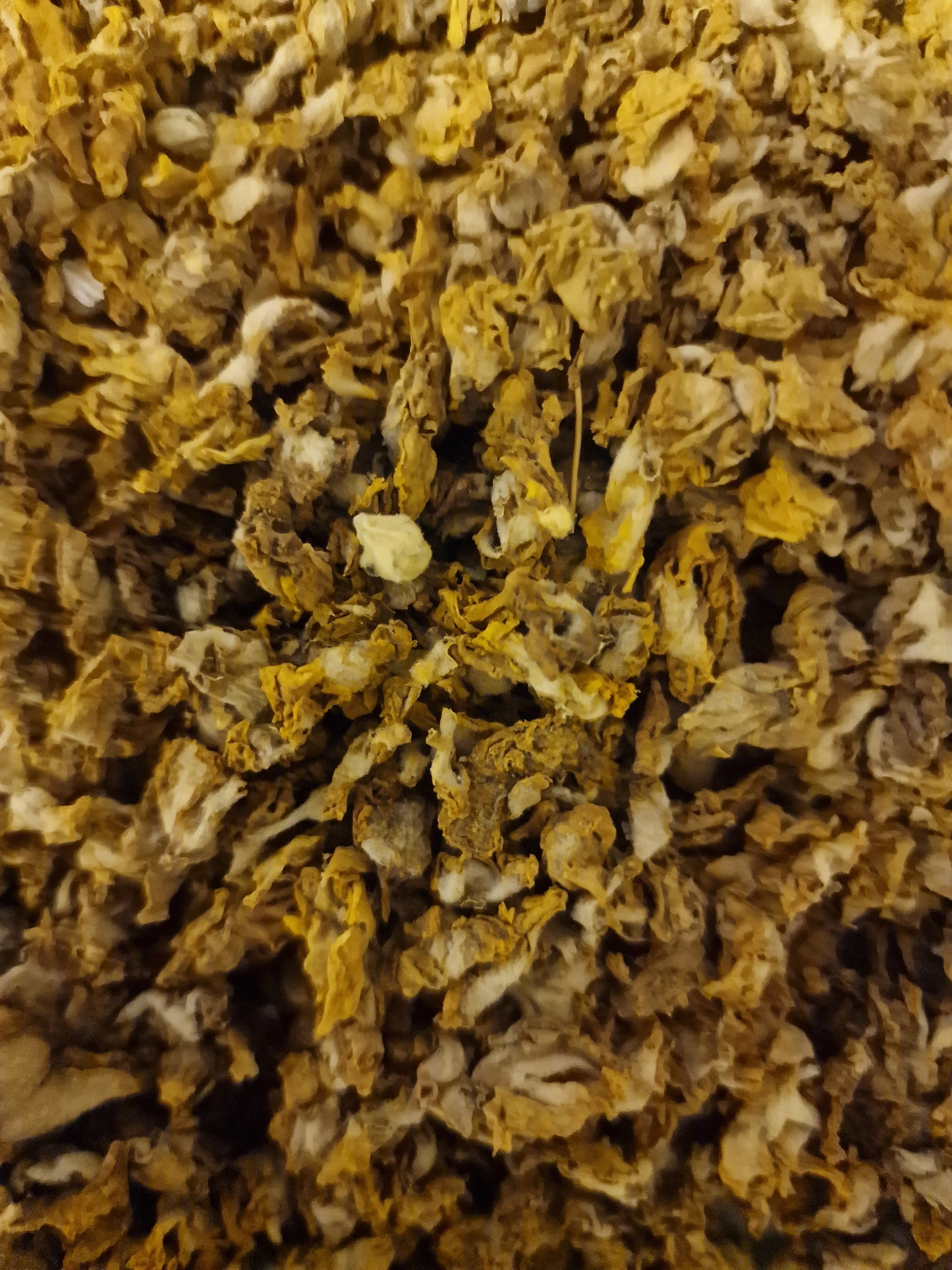 close up of Mullein flowers, an herbal remedy from Botanical Remedies herbal dispensary, loose herbal tea