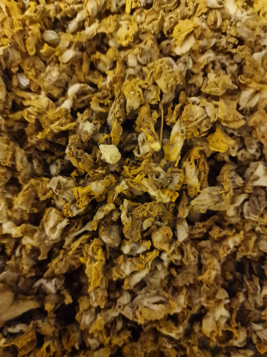 close up of Mullein flowers, an herbal remedy from Botanical Remedies herbal dispensary, loose herbal tea