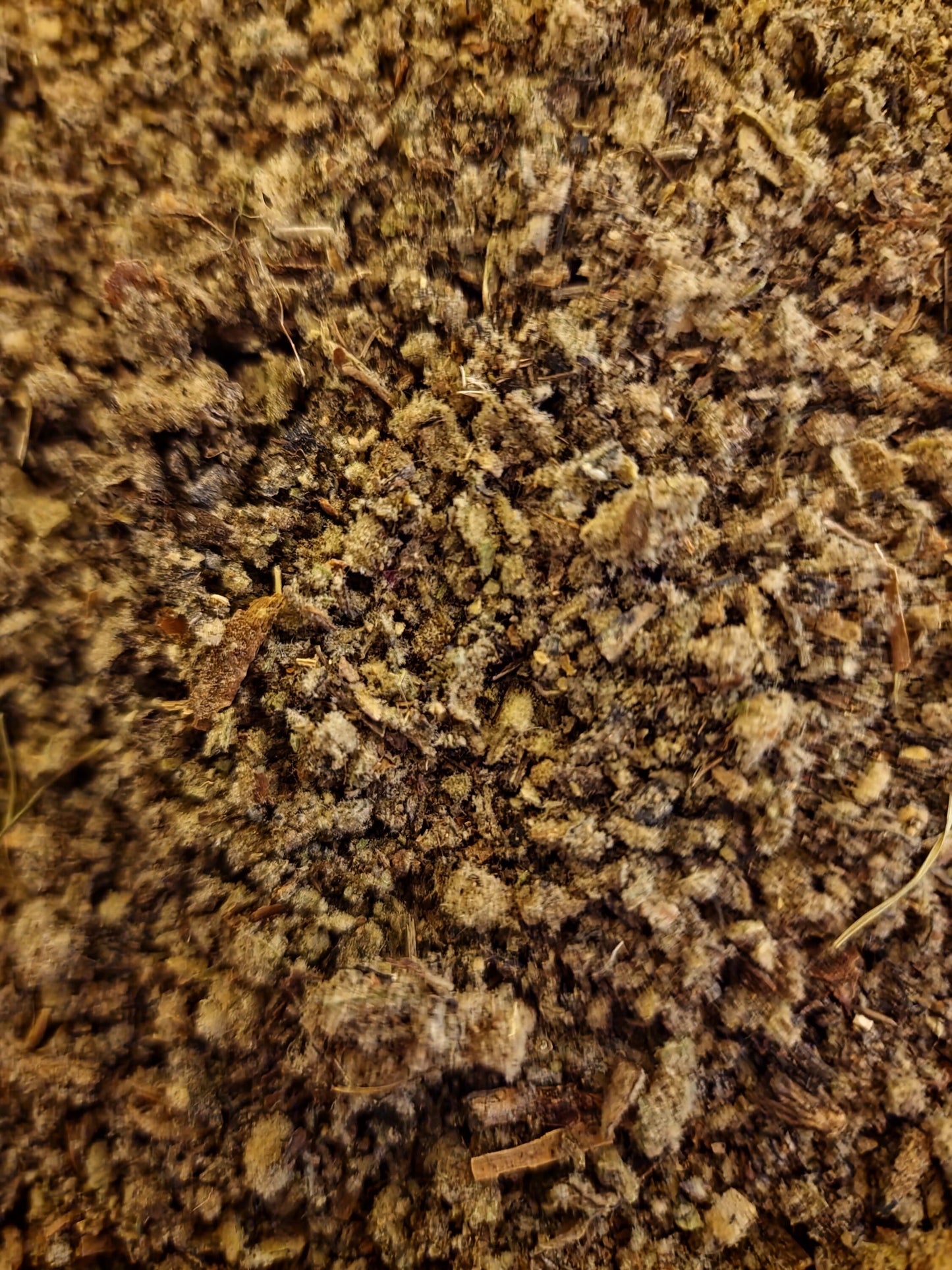 close up of dried and cut Mullein leaf, loose herbal tea from Botanical Remedies herbal dispensary