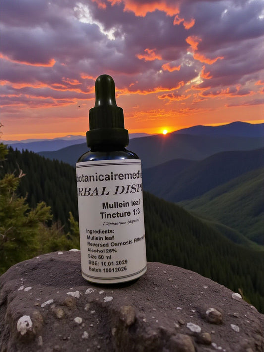 an dropper bottle with Mullein leaf tincture from Botanical Remedies herbal dispensary an herbal remedy