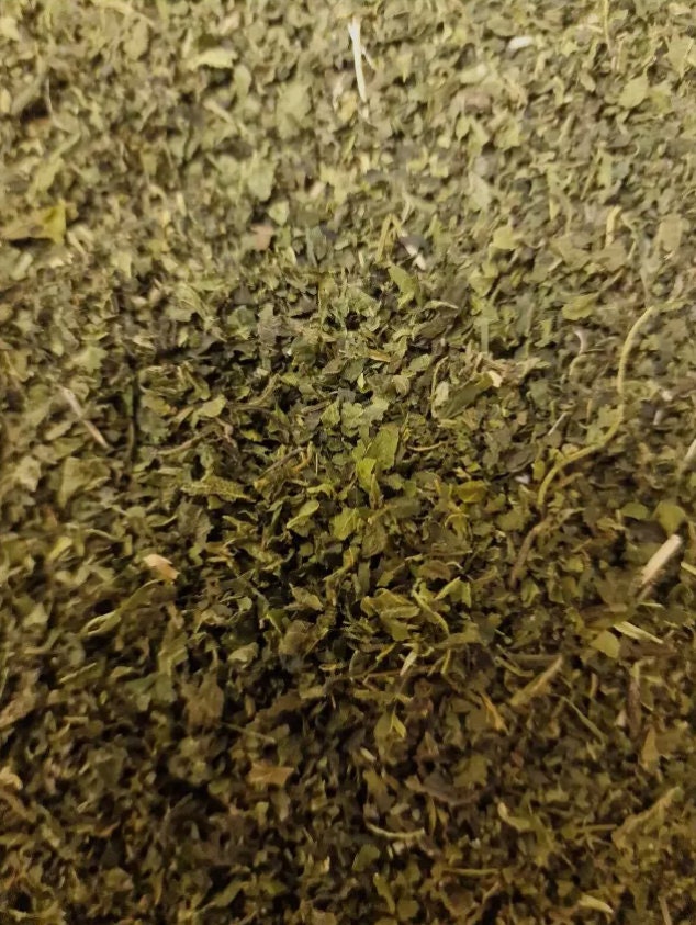 Nettle leaf tea, dried and cut, loose herbal tea, an herbal remedy from Botanical Remedies herbal dispensary