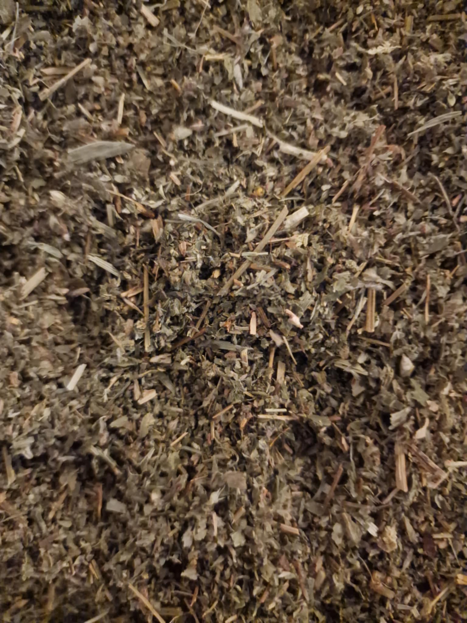 Close-up of agrimony herb, dried and cut, an herbal remedy, loose herbal tea