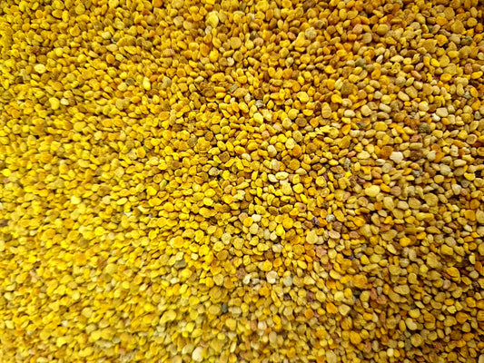 close up of Organic Bee Pollen, an superfood and herbal remedy from Botanical Remedies herbal dispensary