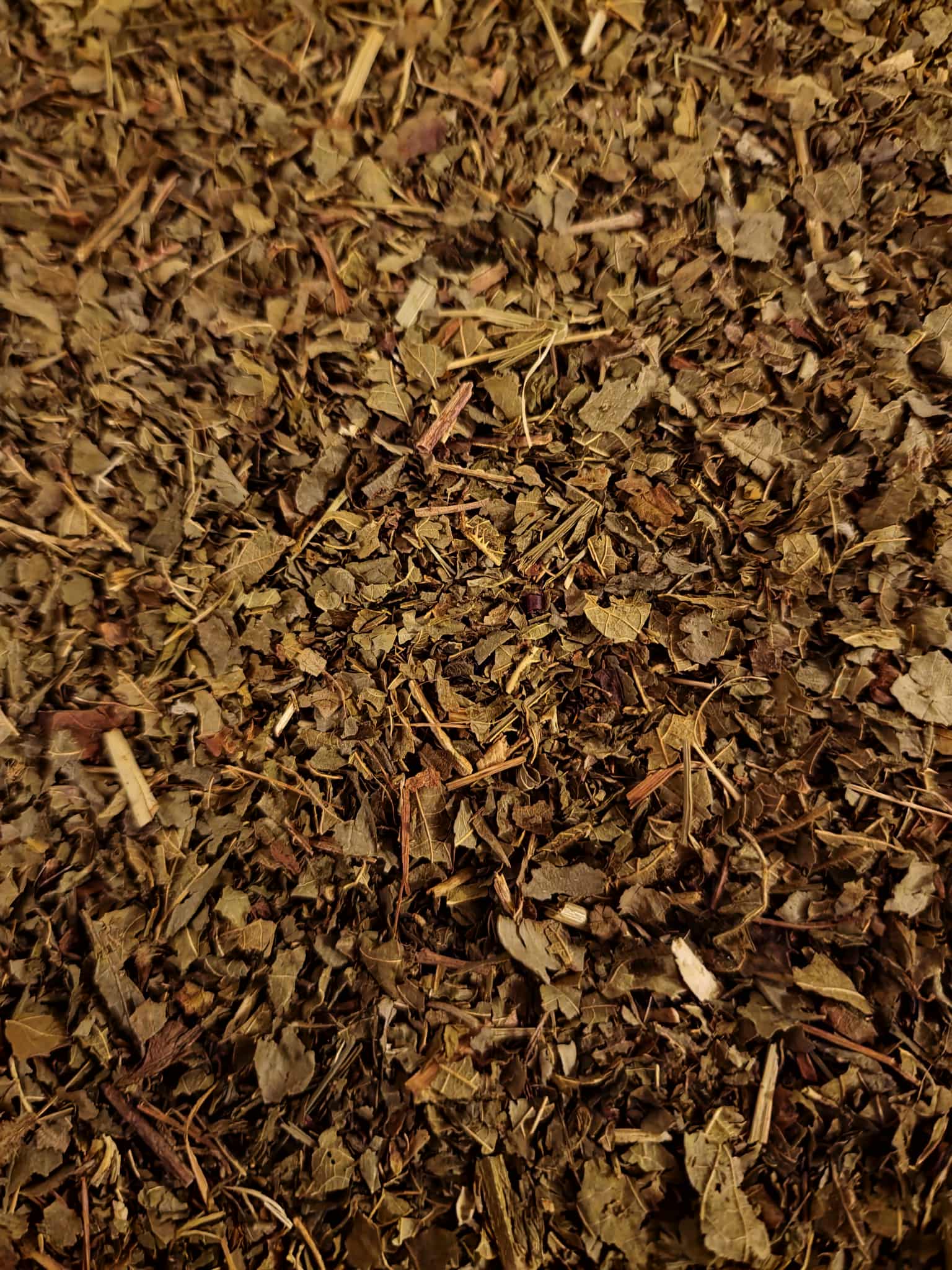 Close-up of dried Organic Blackberry leaf, an herbal remedy from Botanical Remedies herbal dispensary, loose herbal tea