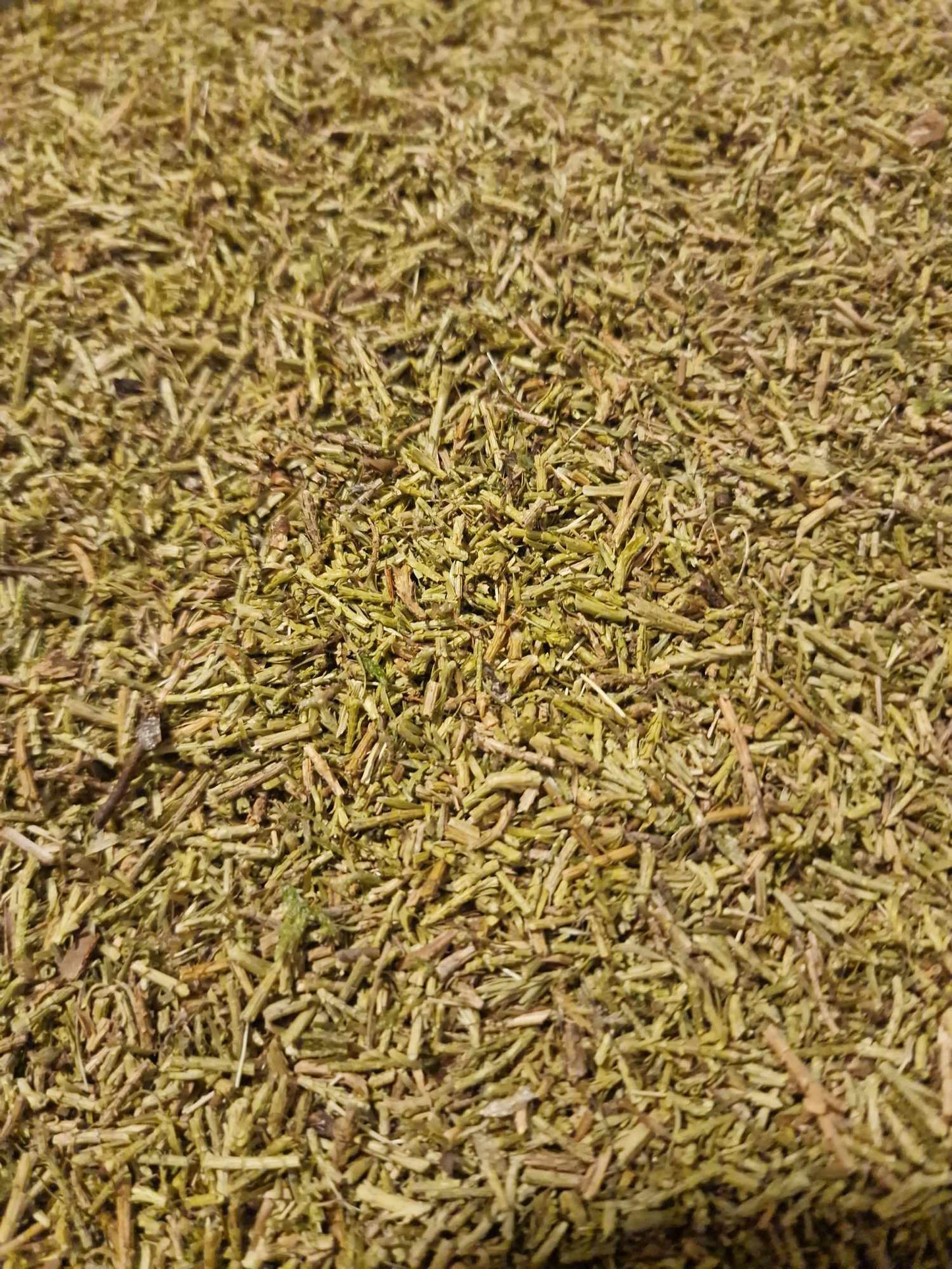 close up of Organic Club Moss herb from Botanical Remedies herbal dispensary, an herbal remedy, loose herbal tea