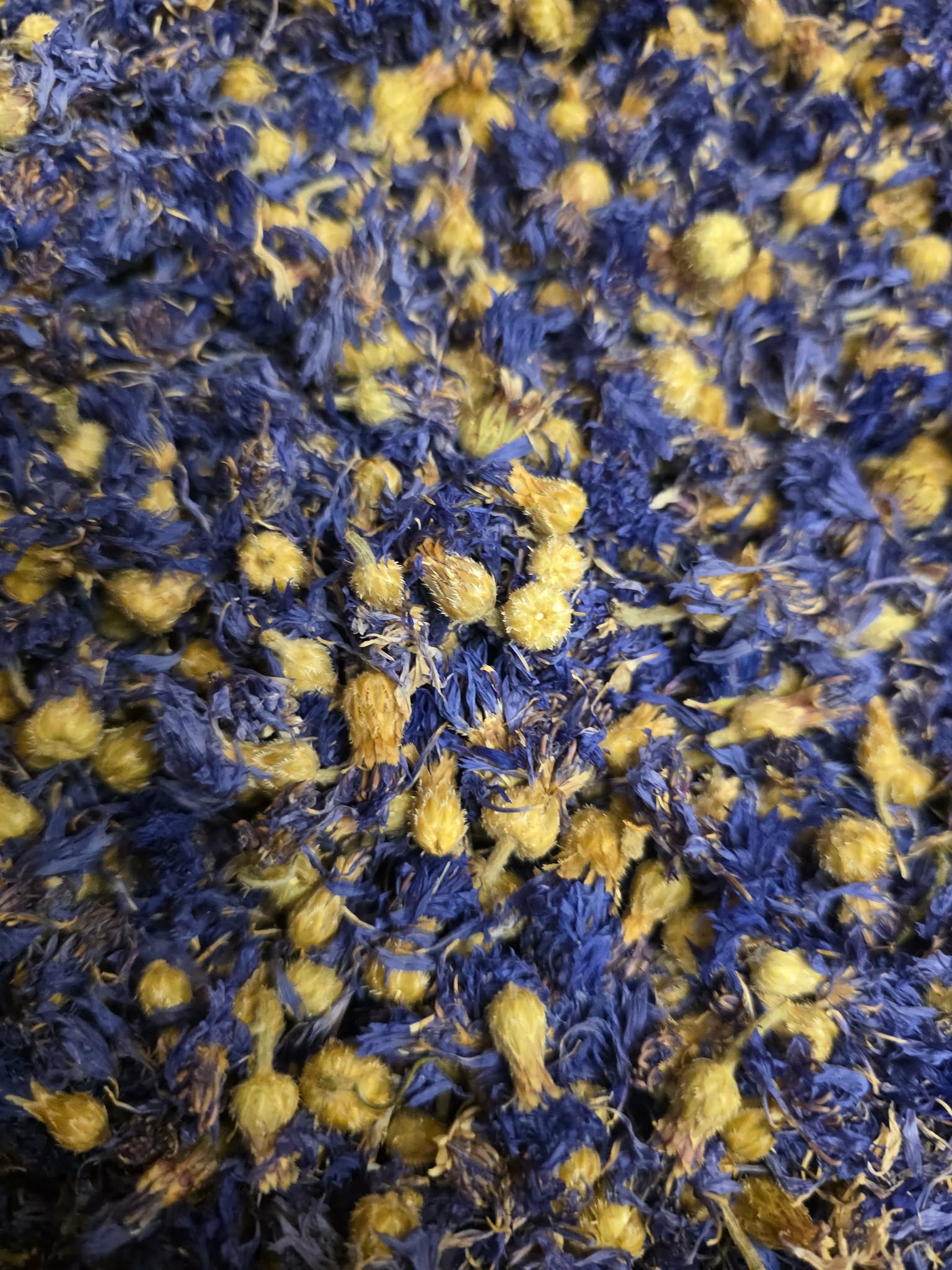 close up of dried Organic Cornflower flowers, an herbal remedy from Botanical Remedies herbal dispensary, loose herbal tea