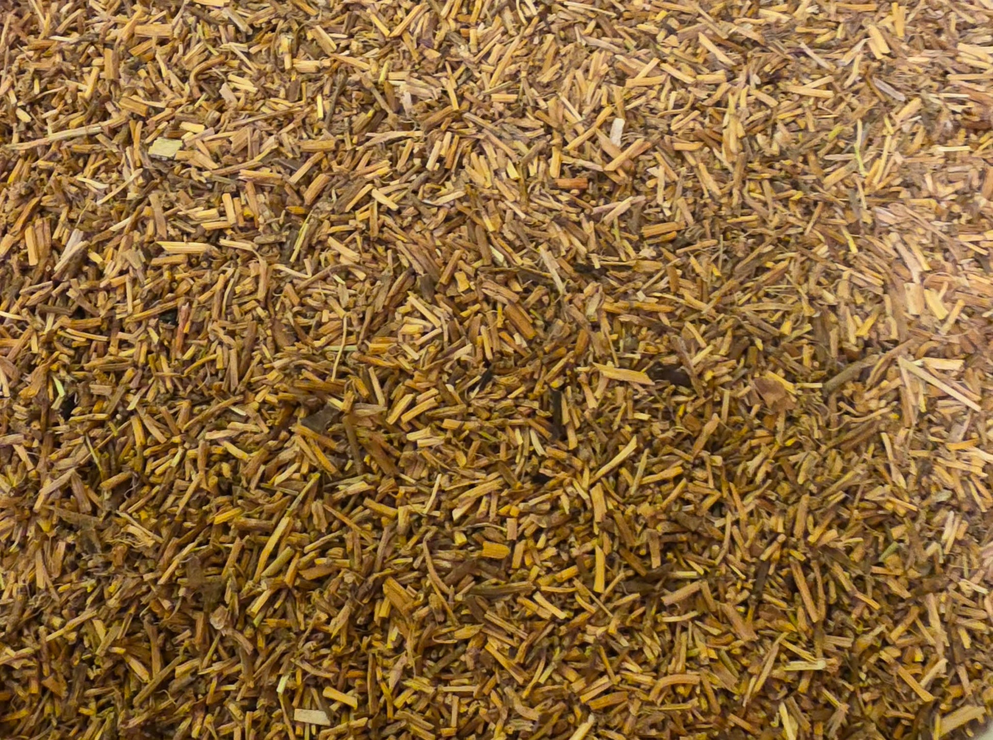 close up or dried and cut Organic Couch Grass rhizome, an herbal remedy from Botanical Remedies herbal dispensary, loose herbal tea