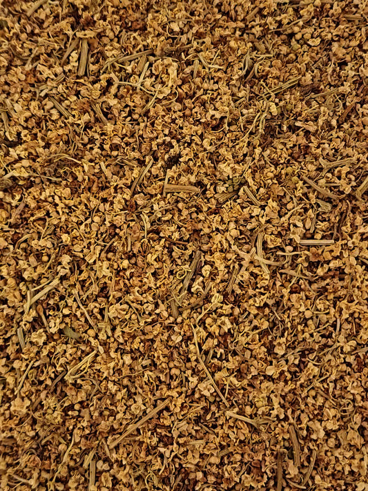Soil Association Certified Organic wild-crafted rubbed Elderflowers (Sambucus nigra) from Kosovo displaying fluffy pale yellow florets and pedicels for herbal infusions.