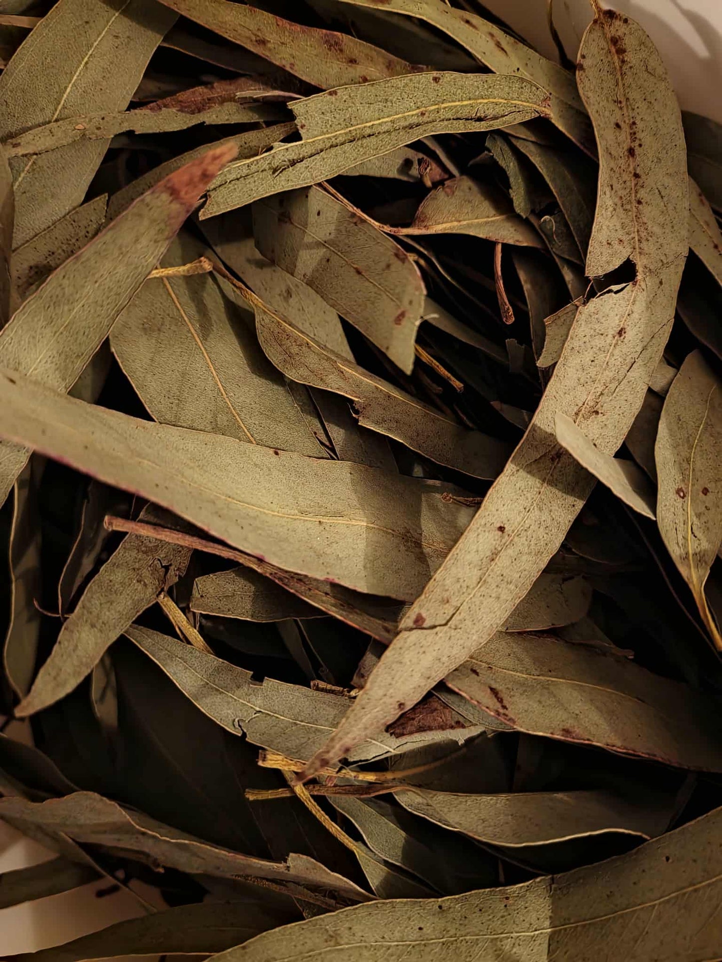 Organic Eucalyptus leaf whole (Eucalyptus globulus)