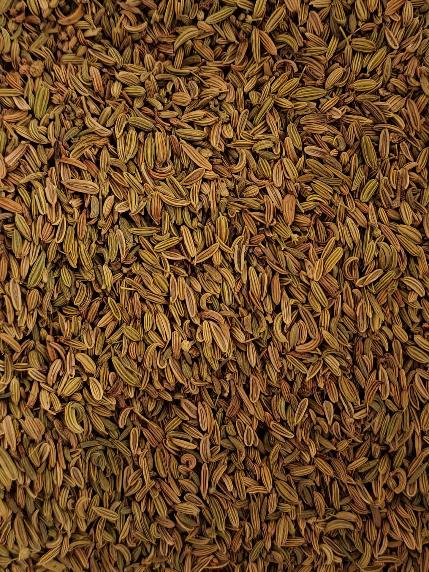 Close-up of Organic fennel seeds, an herbal remedy from Botanical remedies herbal dispensary, loose herbal tea
