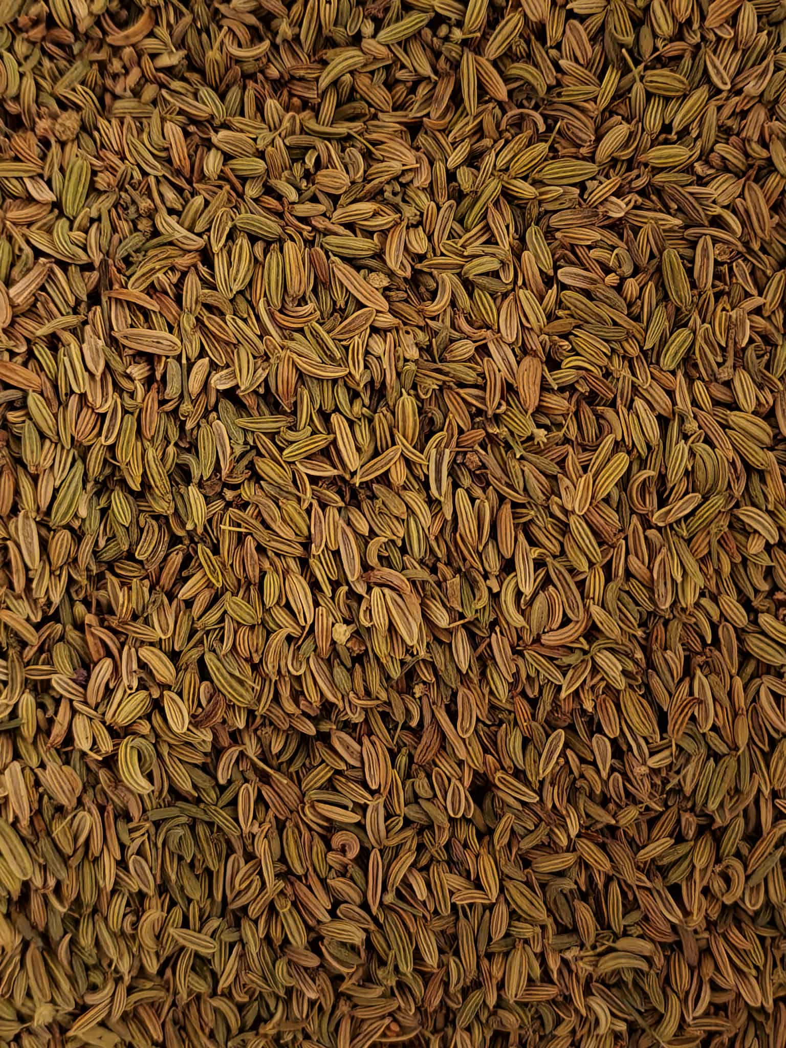 Close-up of Organic fennel seeds, an herbal remedy from Botanical remedies herbal dispensary, loose herbal tea