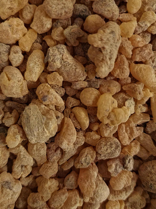Close-up of a pile of Organic Frankincense resin pieces, an herbal remedy from Botanical Remedies herbal dispensary