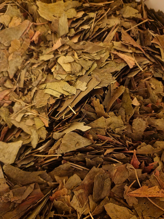 Certified Organic dried Ginkgo leaf cut (Ginkgo biloba) showing broad, golden-olive fan-shaped leaf pieces for herbal infusions and dispensary compounding.