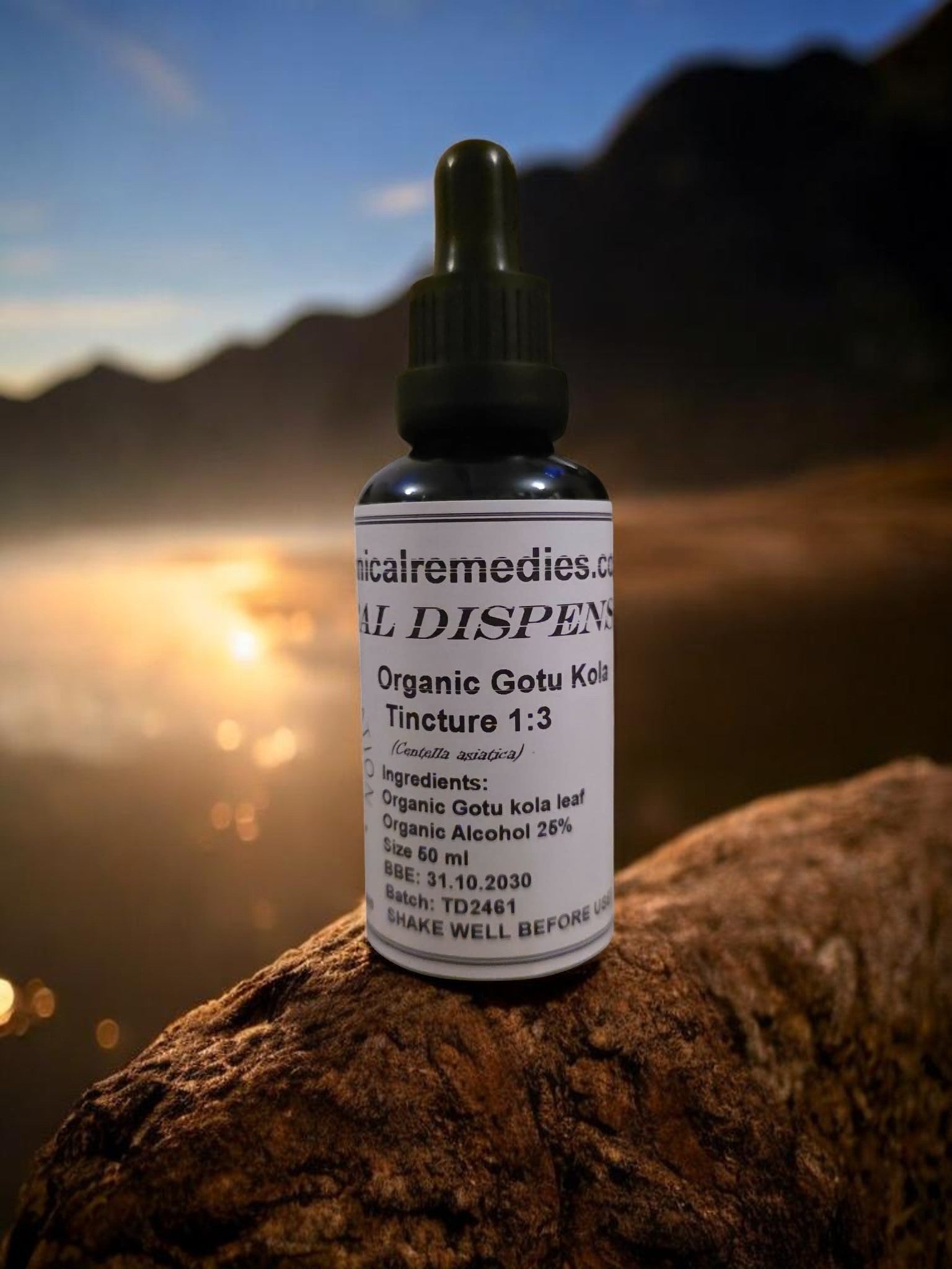 Bottle of Organic Gotu Kola Tincture, an premium practitioner grade herbal remedy from Botanical Remedies herbal dispensary