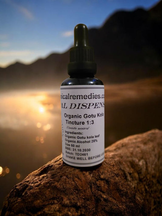 Bottle of Organic Gotu Kola Tincture, an premium practitioner grade herbal remedy from Botanical Remedies herbal dispensary