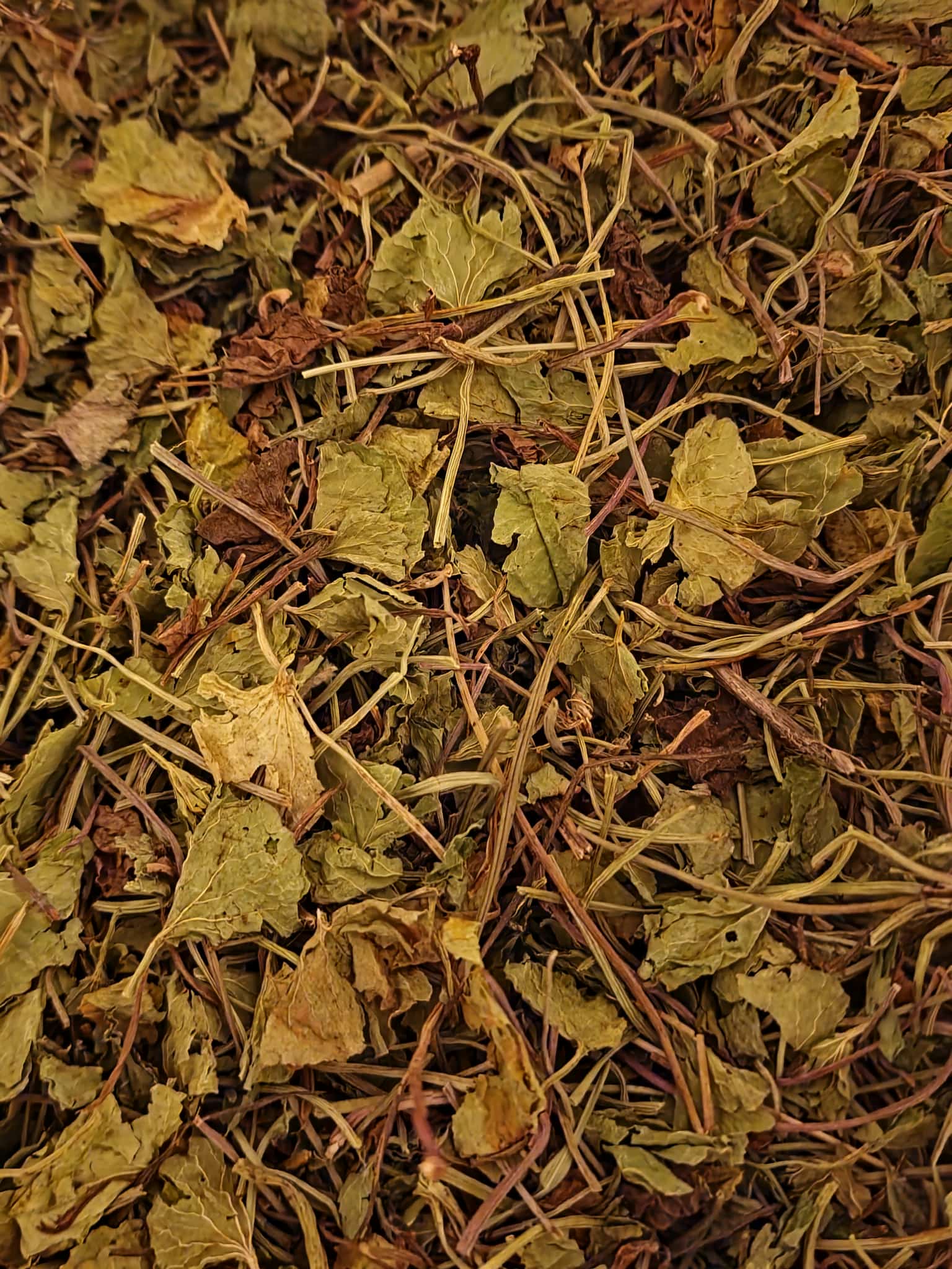 close up of dried and cut Organic Gotu Kola herb, an herbal remedy from Botanical Remedies herbal dispensary, loose herbal tea