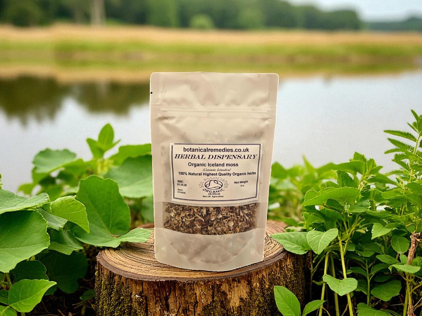 Package of organic Iceland moss from Botanical Remedies herbal dispensary, an herbal remedy, loose herbal tea