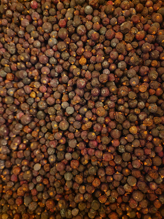 Close-up of dried Organic Juniper berries from Botanical Remedies herbal dispensary, an herbal remedy, loose herbal tea