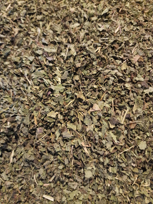 Close up of Organic Lemon Balm leaves from Botanical Remedies herbal dispensary, dried and cut, loose herbal tea, an herbal remedy