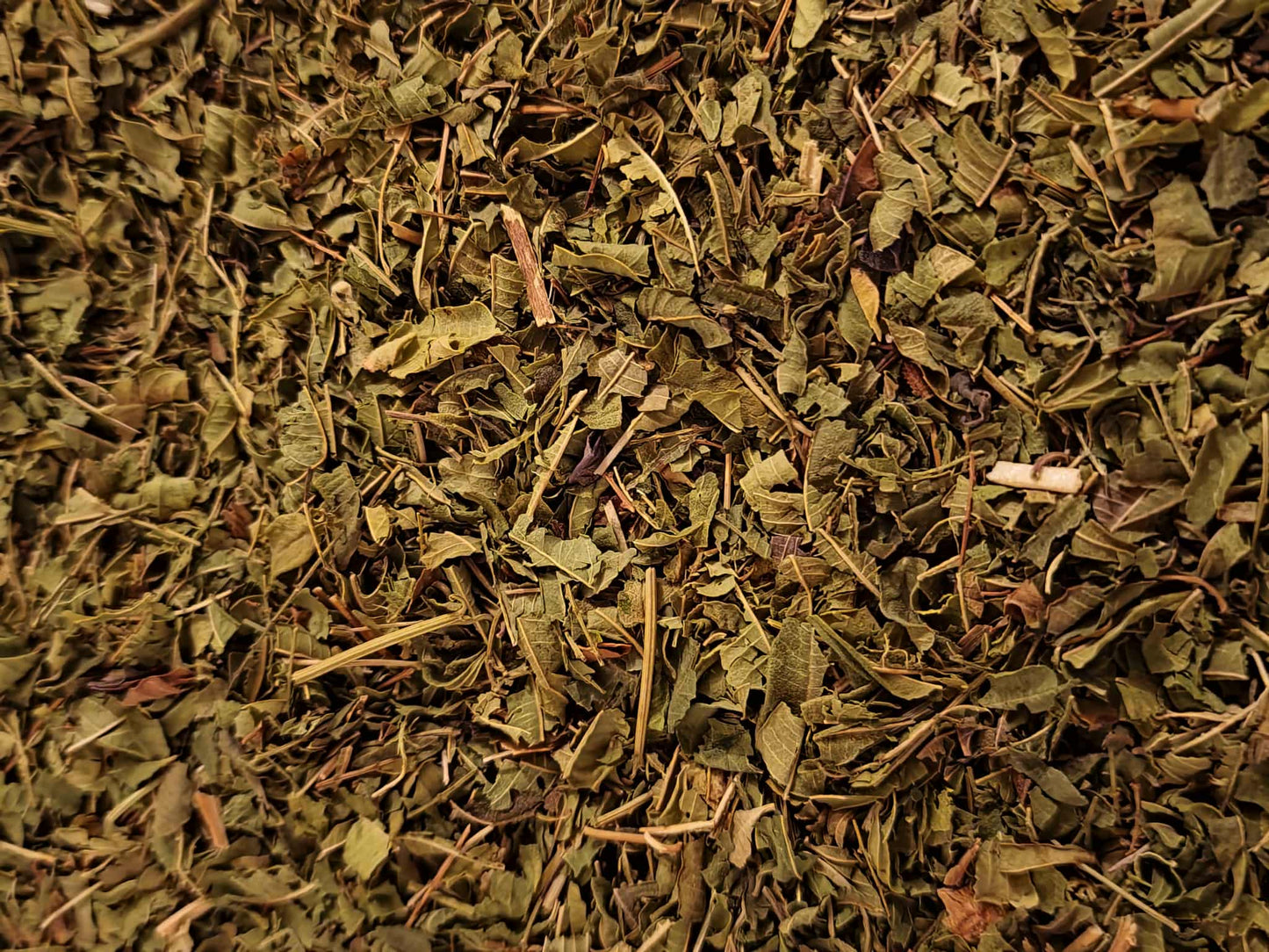 Close-up of dried Organic Lemon Verbena leaf cut, an herbal remedy from Botanical Remedies herbal dispensary, loose herbal tea