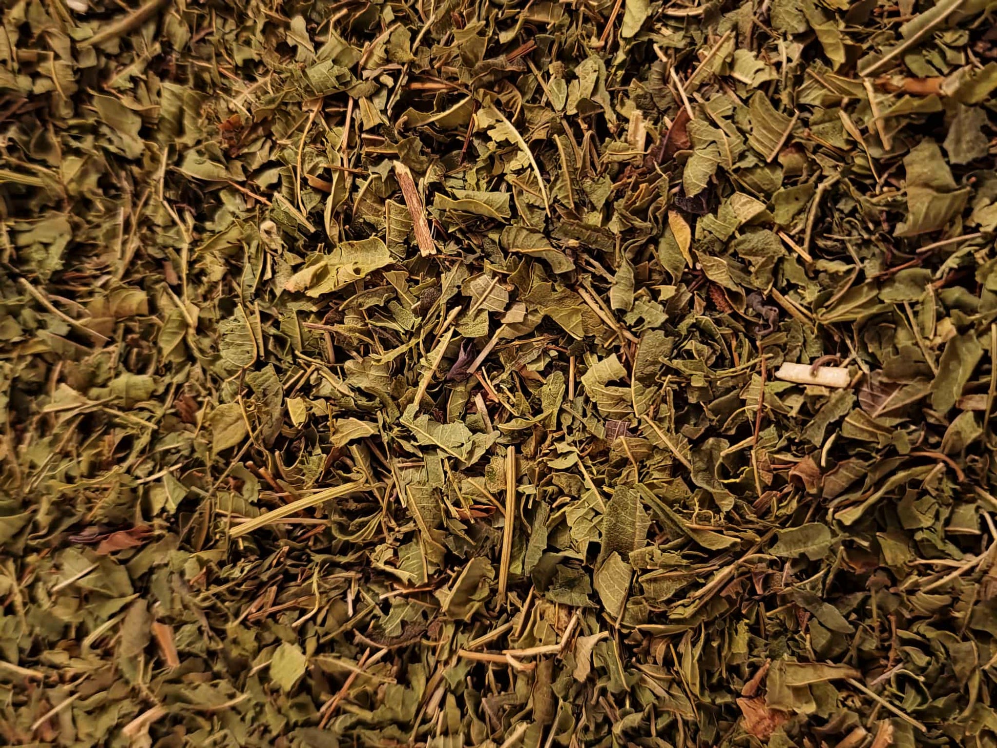 Close-up of dried Organic Lemon Verbena leaf cut, an herbal remedy from Botanical Remedies herbal dispensary, loose herbal tea