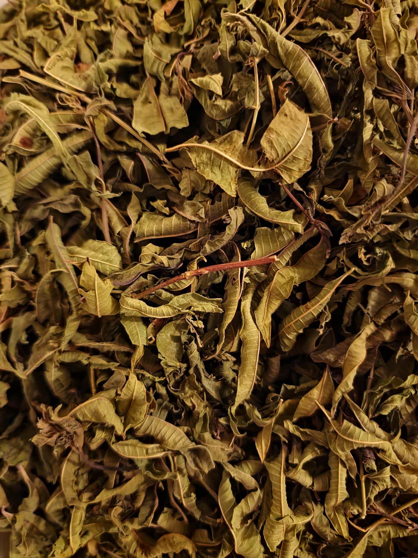 Organic Lemon Verbena Leaf whole (Aloysia triphylla)