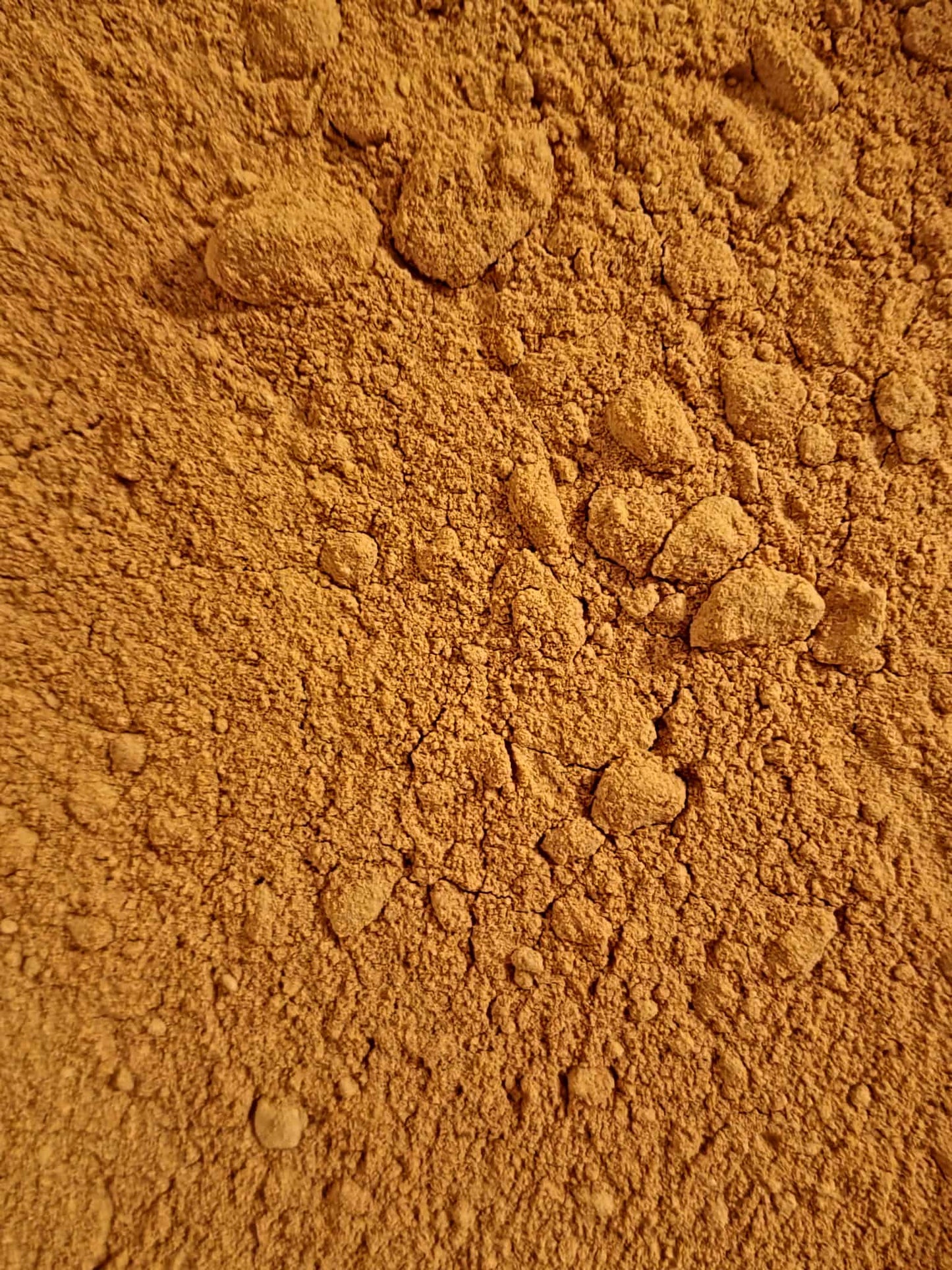 Close-up of Organic Maca podwer from Botanical Remedies herbal dispensary, an herbal remedy, adaptogen, superfood